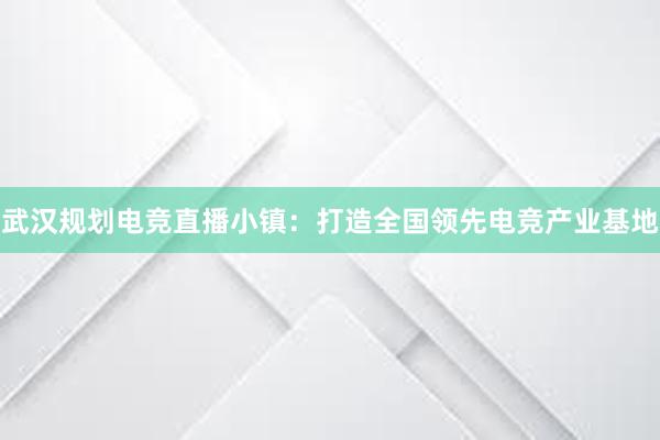 武汉规划电竞直播小镇：打造全国领先电竞产业基地